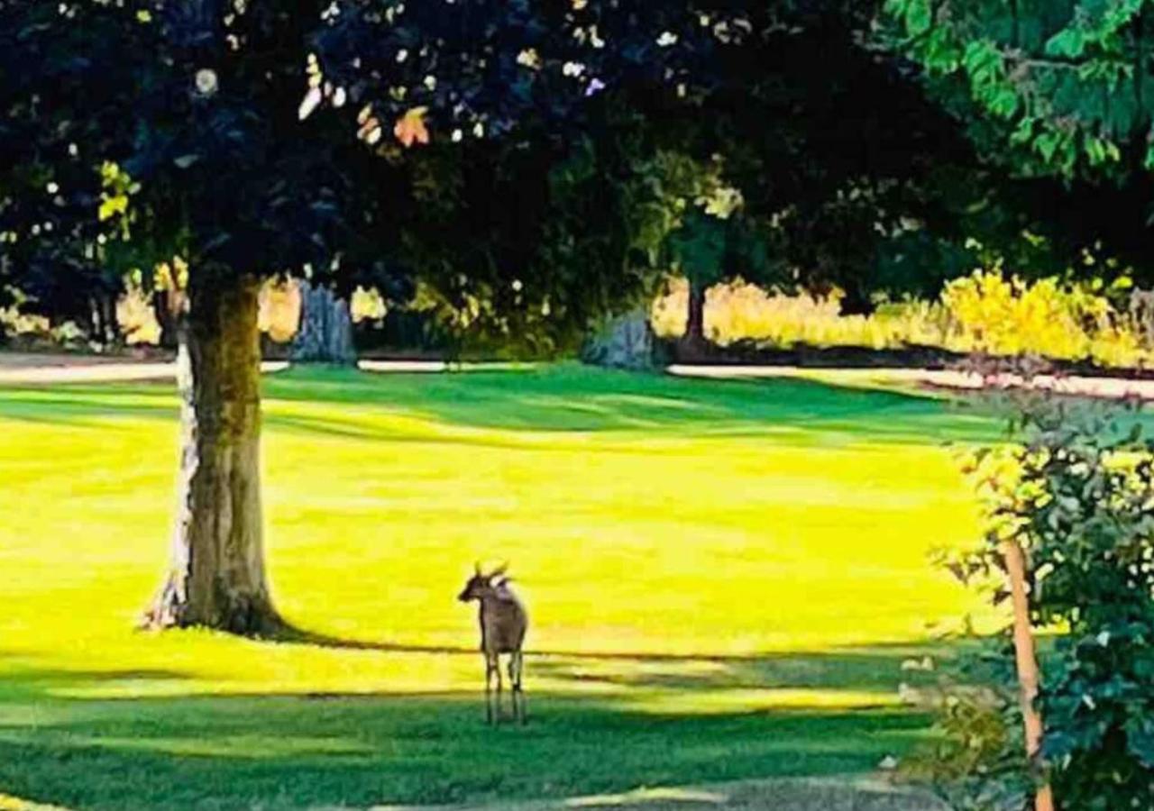 Oceanside Manor - Fancy Room - Golf Course & Beach View Qualicum Beach Exterior photo